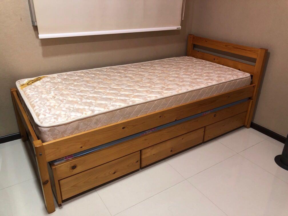 Seahorse pull store out bed