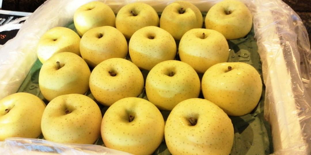 日本青森縣黃王蘋果*- 生果, 其他, 其他- Carousell