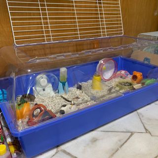 (Category: ) located in . Submitted by goldhats (Listing ID 1033401320, Image 1). Description: .