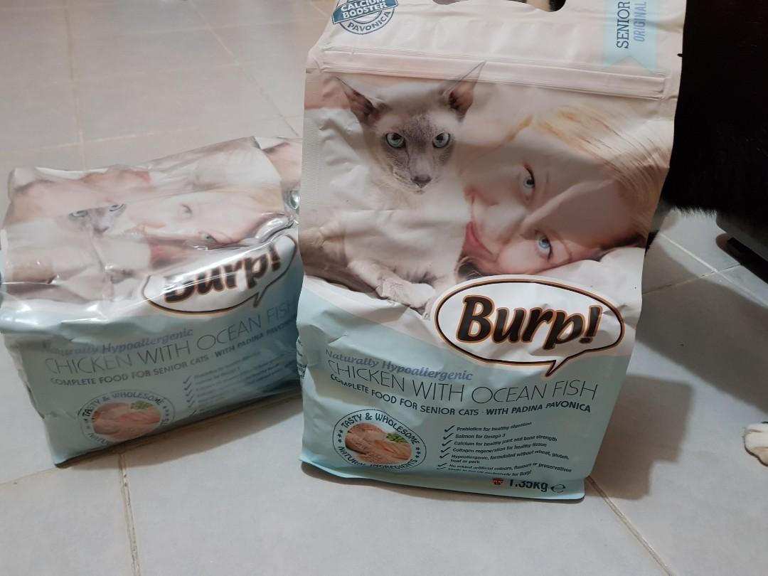 best biscuits for cats