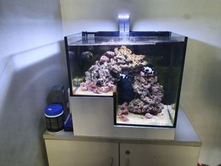 (Category: ) located in . Submitted by yijieeee__ (Listing ID 1033479962, Image 1). Description: .