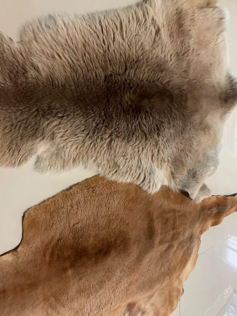 Kangaroo Leather Carpet Rug Home Furniture Home Decor On Carousell