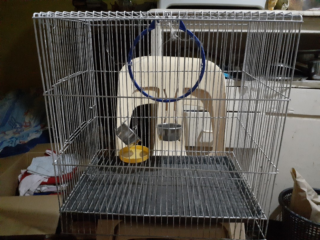 preloved parrot cages