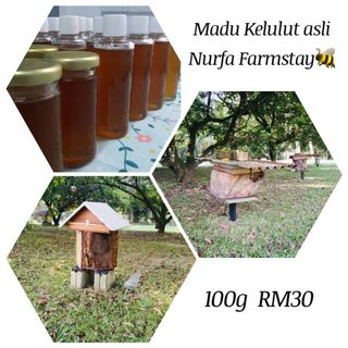 (Category: ) located in . Submitted by nadiyyaziz (Listing ID 1033402064, Image 1). Description: .