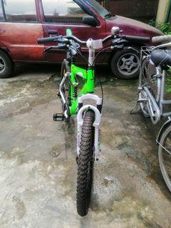 ds 2600 mountain bike