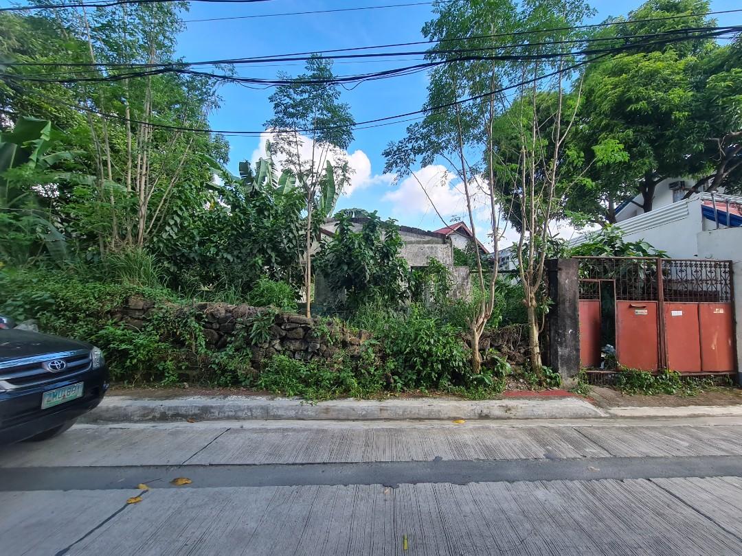 Quezon City Lot at Palmera Homes 1km away from Commonwealth, Property