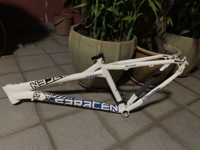 Saracen zen 1 online