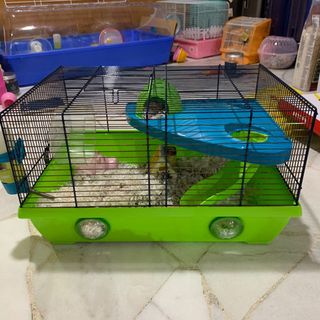 (Category: ) located in . Submitted by goldhats (Listing ID 1033403374, Image 1). Description: .