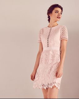 aivilo ted baker