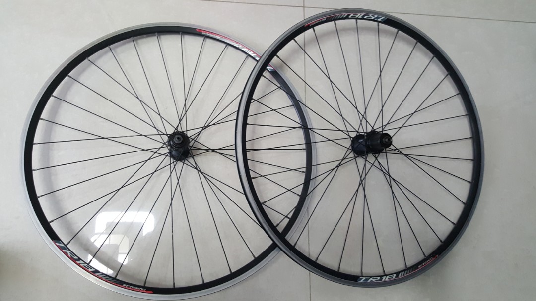 Weinmann online tr18 rims