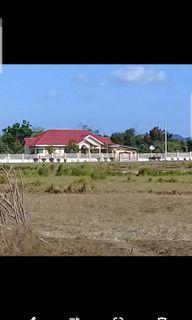 From 200 sqm up  vacant lot Residential Farm P5000/sq
