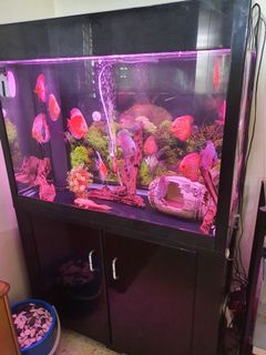(Category: ) located in . Submitted by npanchal12 (Listing ID 1033651063, Image 1). Description: .