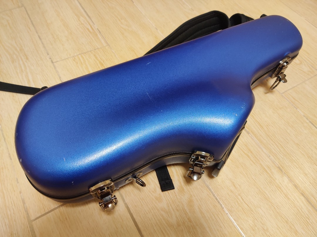 Eastman Alto Saxophone Case 色士風箱, 興趣及遊戲, 音樂、樂器 & 配件, 樂器配件 Carousell