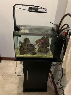 (Category: ) located in . Submitted by ddtrust (Listing ID 1033823780, Image 1). Description: .