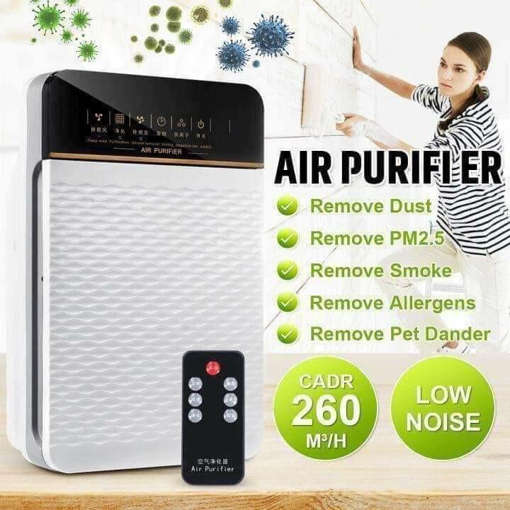 Air purifier with remote