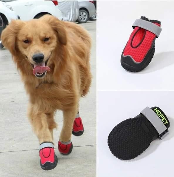 non skid shoes for dogs