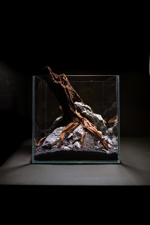 25cm Cube Cc Tank Aquascape Design Pegasus M 1 Home Furniture Home Decor On Carousell
