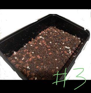 Potting Soil Mix Gardening Carousell Singapore