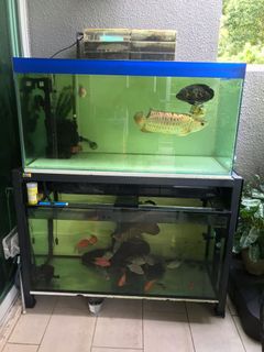 (Category: ) located in . Submitted by clementwts (Listing ID 1033858137, Image 1). Description: .