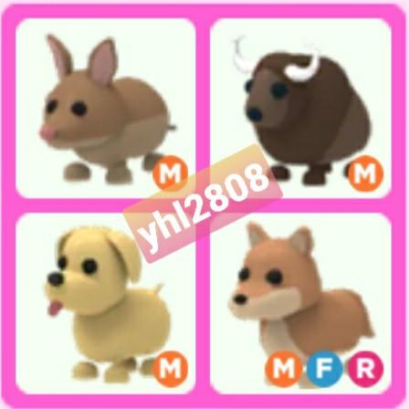 Dingo Adopt Me Adopt Me Dog Dingo Buffalo Bandicoot Video Gaming Gaming Accessories Game Gift Cards Accounts On Carousell sgd