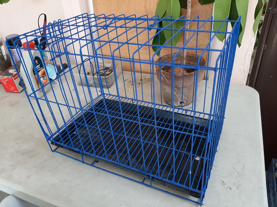 small dog cage