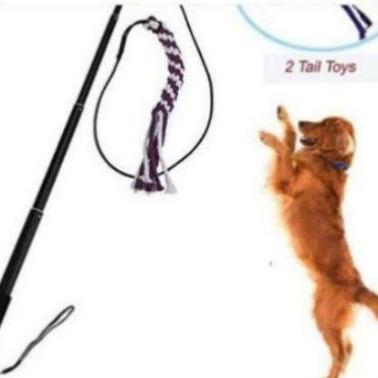 pole leash for dogs