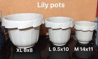 Lily pots