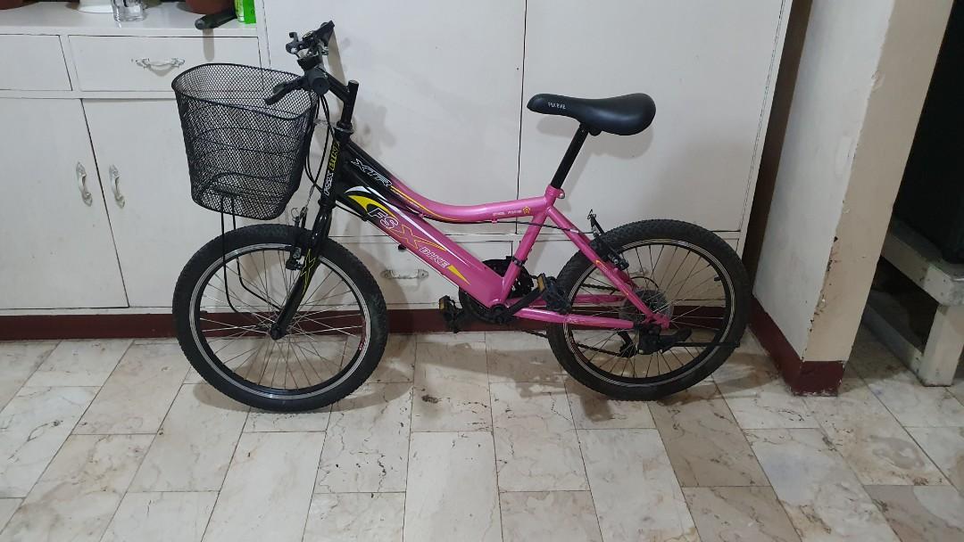 dahon mu tern mi