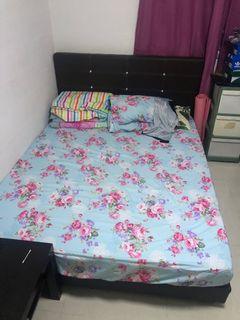 Queen Size Bed