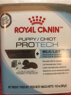 Royal Canin View All Royal Canin Ads In Carousell Philippines
