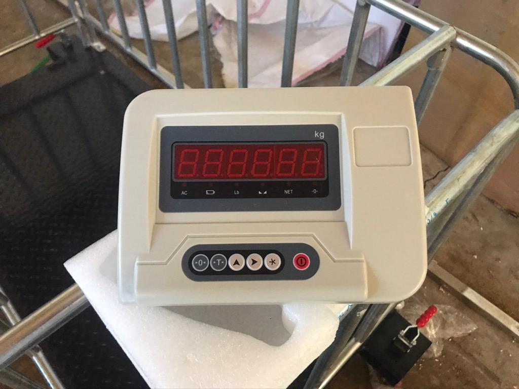1 Ton Digital Hog Scale, Pig Scale, Digital weighing scale, Furniture