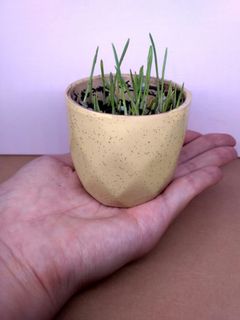 （分類：）位於 。 由 pelodise 提交（商品編號 1034108861，圖片 1）。簡介： 。