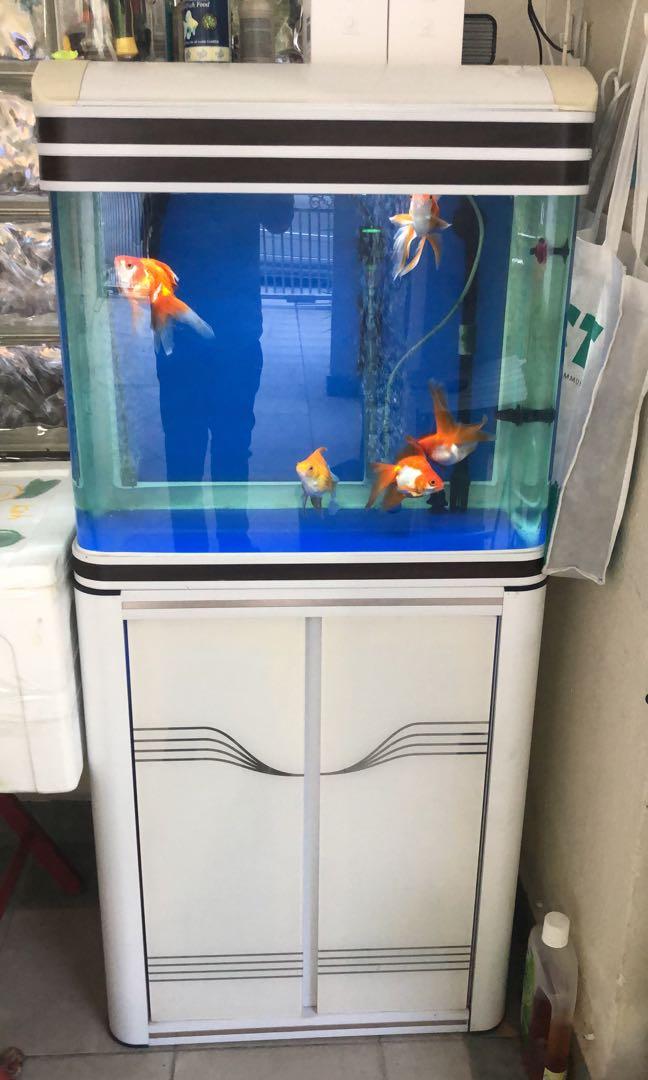 Aquarium With Cabinet Puchong Pet Supplies Pet Accessories On Carousell