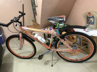 barracuda phoenix shimano alivio mountain bike