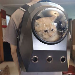 (Category: ) located in . Submitted by daily_fix (Listing ID 1034205441, Image 1). Description: .