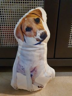 (Category: ) located in . Submitted by hound2love (Listing ID 1034219316, Image 1). Description: .