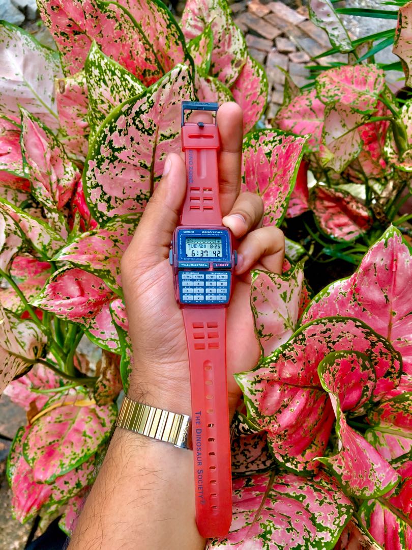 Dino Merah Jambu : Gambar Wallpaper Dinosaurus Viral Di ...