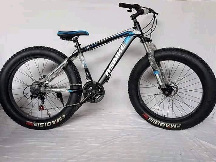 benshi fat bike price
