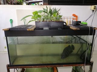 (Category: ) located in . Submitted by trueforest.8c1a6c (Listing ID 1034158103, Image 1). Description: .