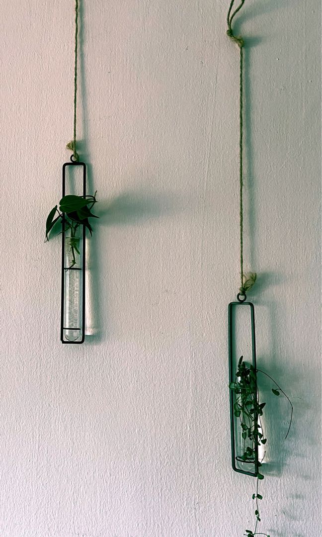 Hanging glass tubes, Furniture & Home Living, Gardening, Pots