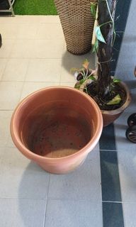 (Category: ) located in . Submitted by kapdubey (Listing ID 1034055810, Image 1). Description: .