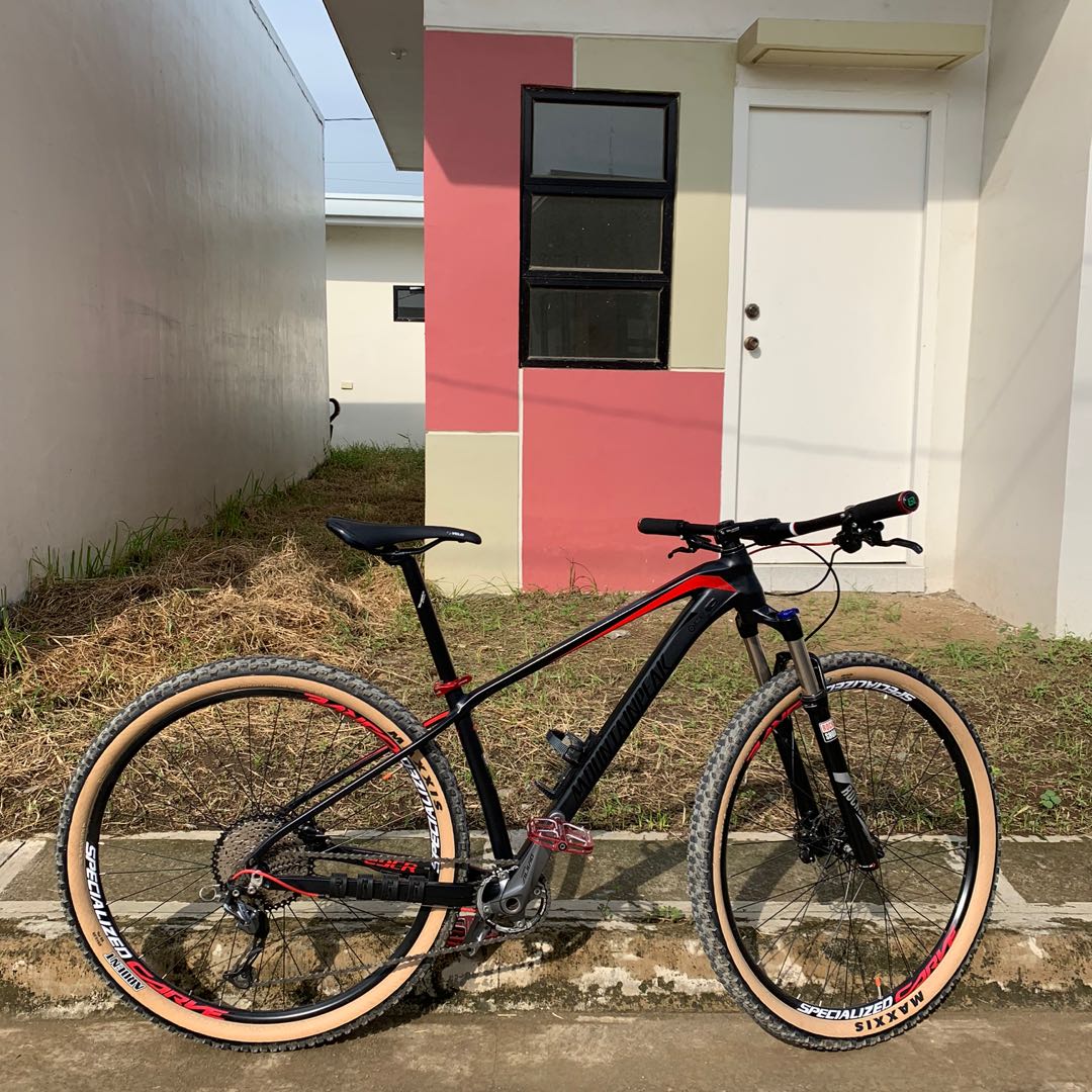 Mountain peak bike made in 2025
