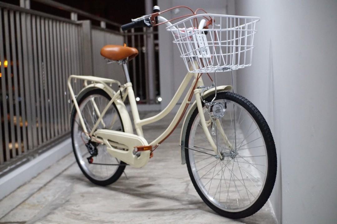 vintage adult bike