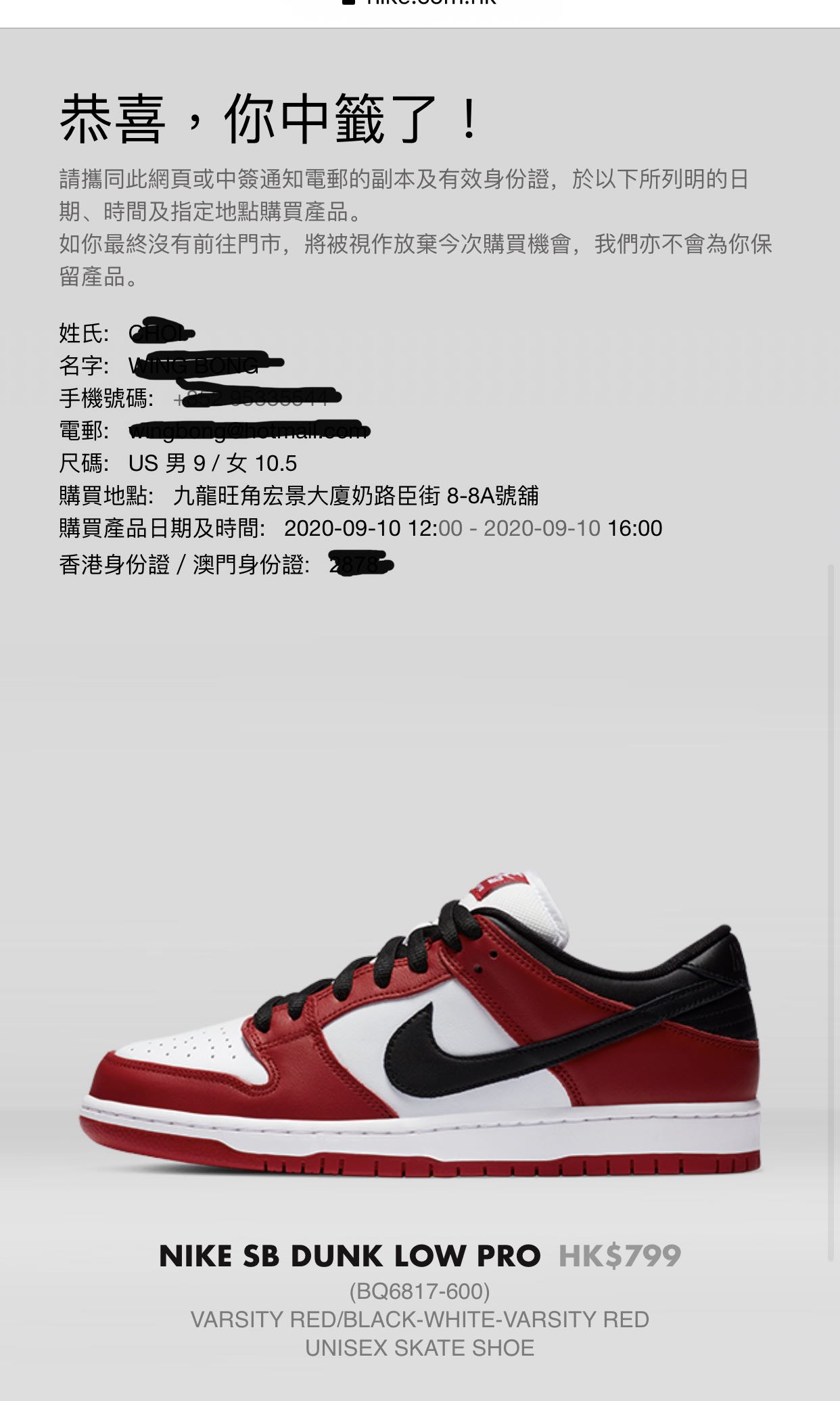 Nike SB Dunk Low Pro \