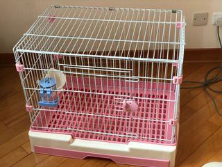 （分類：）位於 。 由 annahui3692 提交（商品編號 1034062884，圖片 1）。簡介： 。