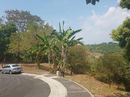 Anvaya Cove Beach Club Shares View All Anvaya Cove Beach Club Shares Ads In Carousell Philippines