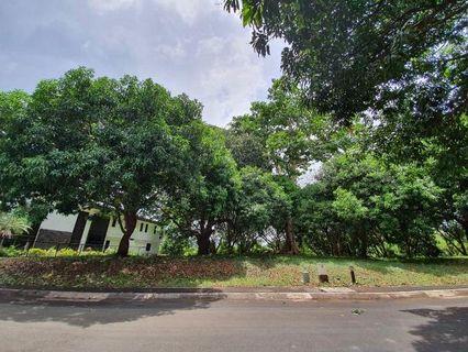 Anvaya Cove Shares For Sale Lot Carousell Philippines