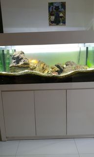 (Category: ) located in . Submitted by Bradd (Listing ID 1059862787, Image 1). Description: .