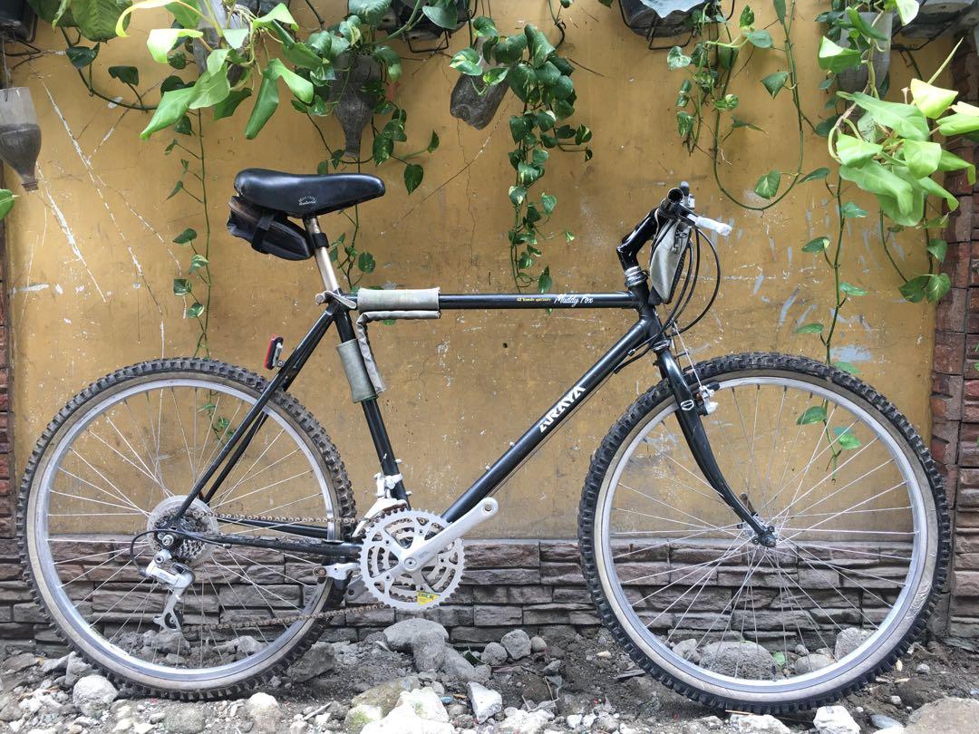 Araya mountain 2025 bike