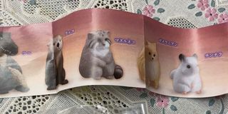 （分類：）位於 。 由 muimui0502 提交（商品編號 1059907344，圖片 1）。簡介： 。